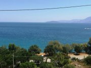 Ammoudara bei Agios Nikolaos Kreta, Ammoudara: Grundstücke in unmittelbarer Meeresnähe bei Agios Nikolaos zu verkaufen Grundstück kaufen